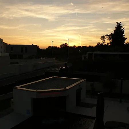 Simba * Tar-Vabriga